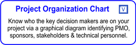 IT Project Organization Chart