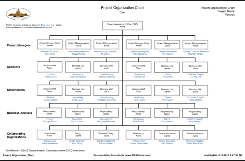 Project_Organization_Chart-P01-700